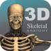 Skeletal 3D ANATOMY
